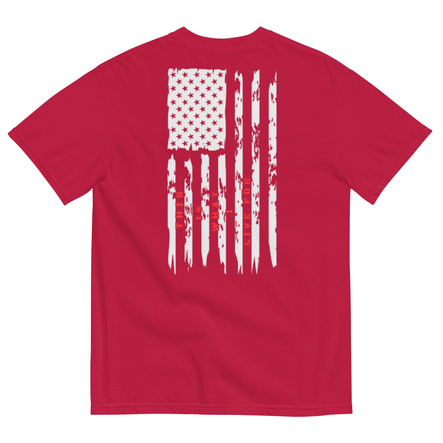 This is What I Live For heavyweight t-shirt