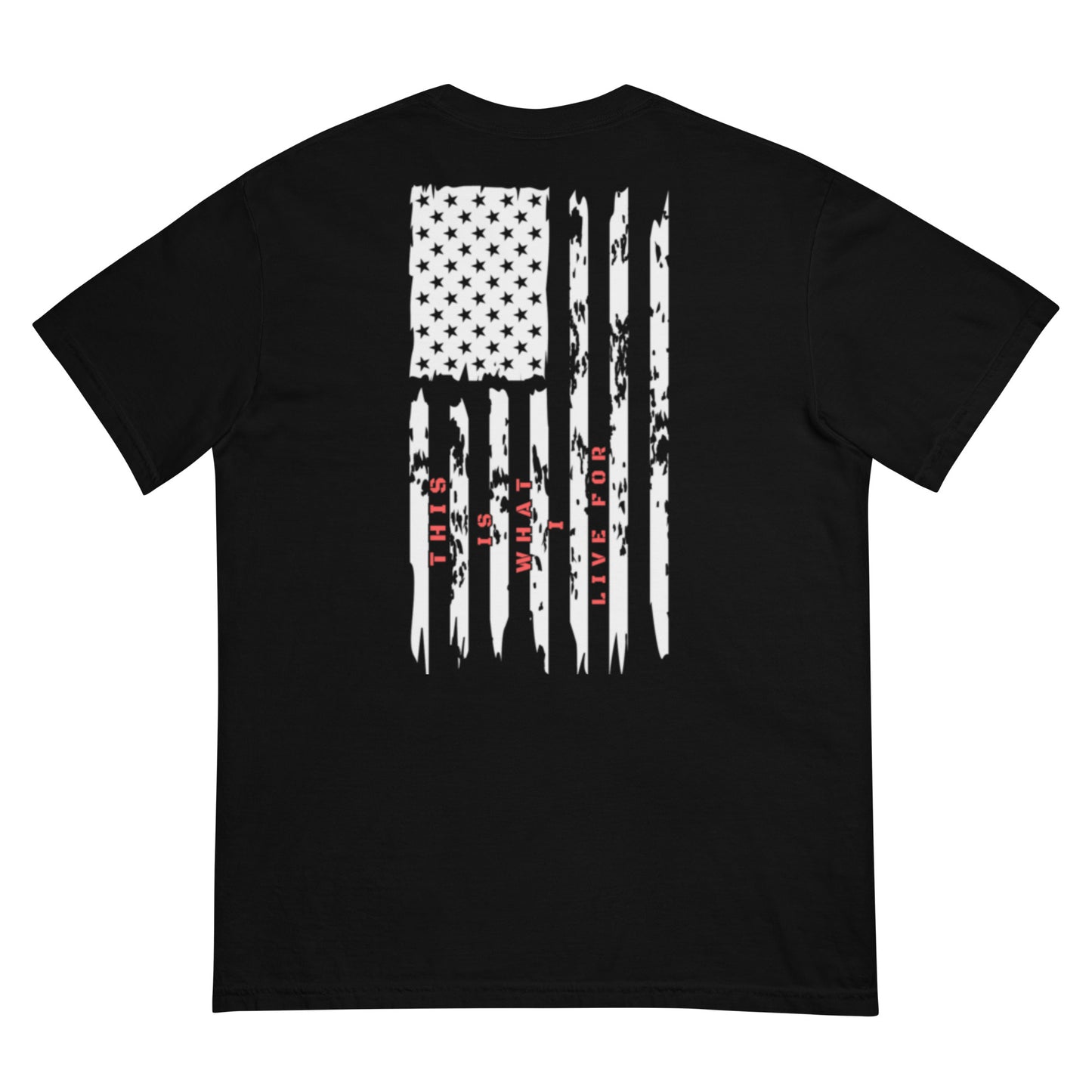 This is What I Live For heavyweight t-shirt