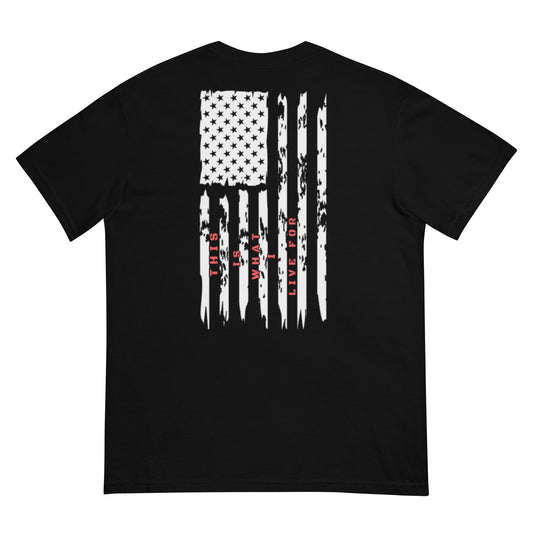 This is What I Live For heavyweight t-shirt