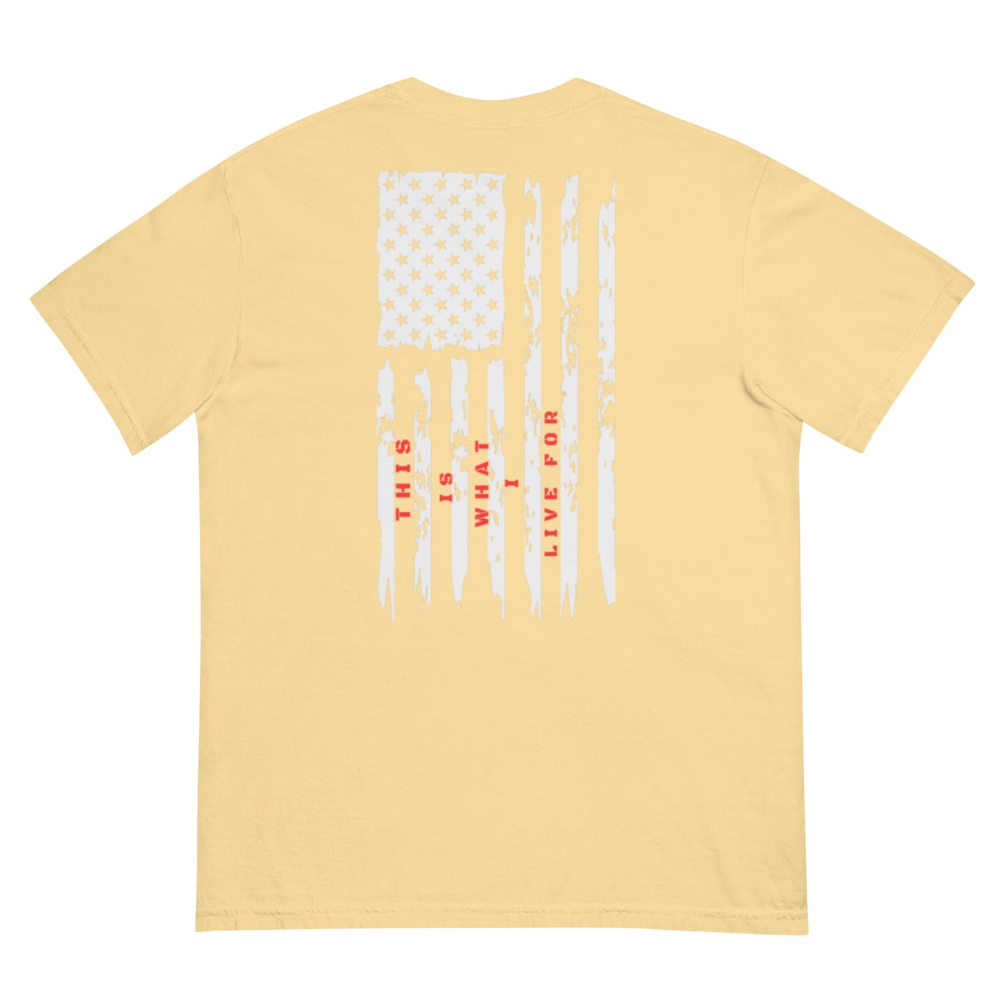 This is What I Live For heavyweight t-shirt