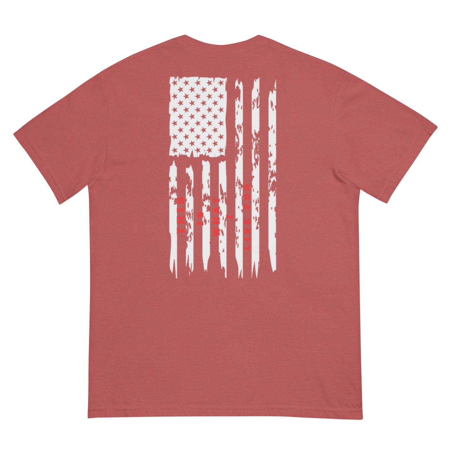 This is What I Live For heavyweight t-shirt
