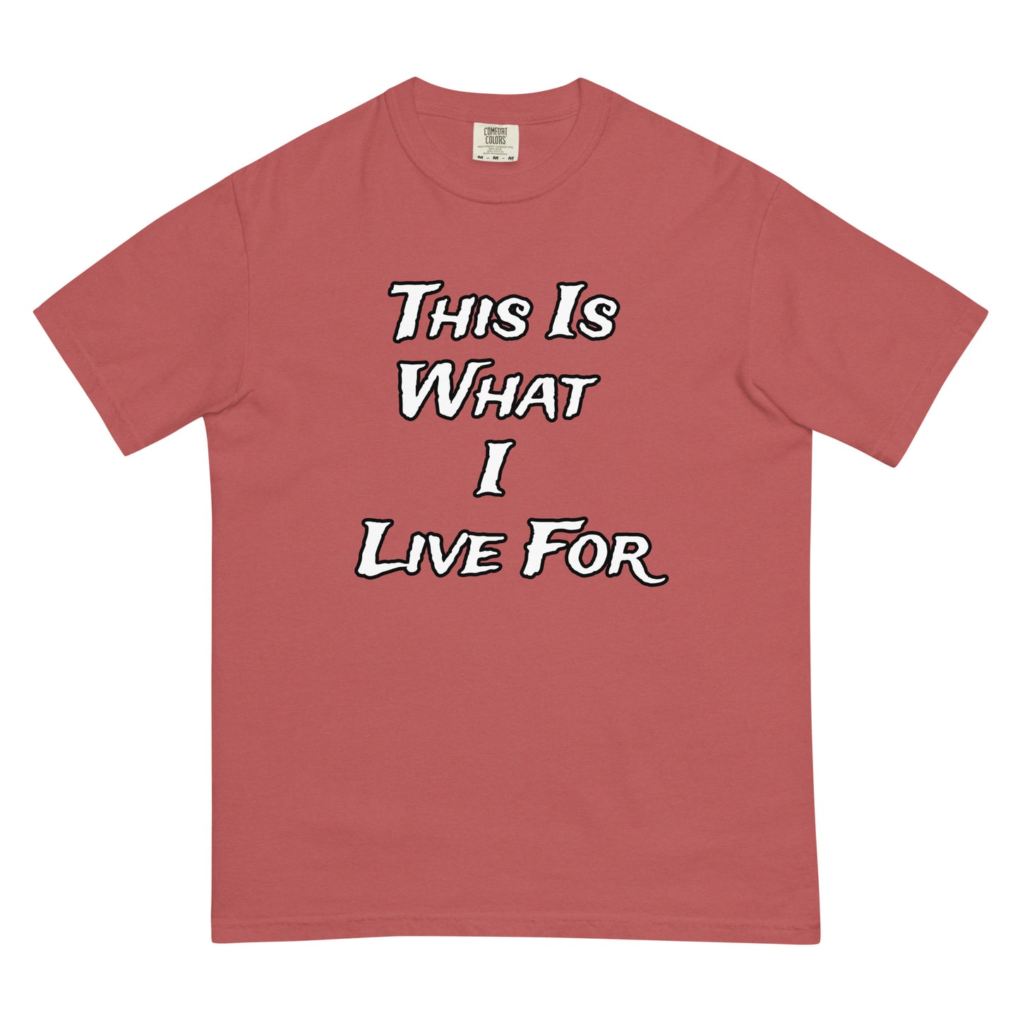 This is What I Live For heavyweight t-shirt