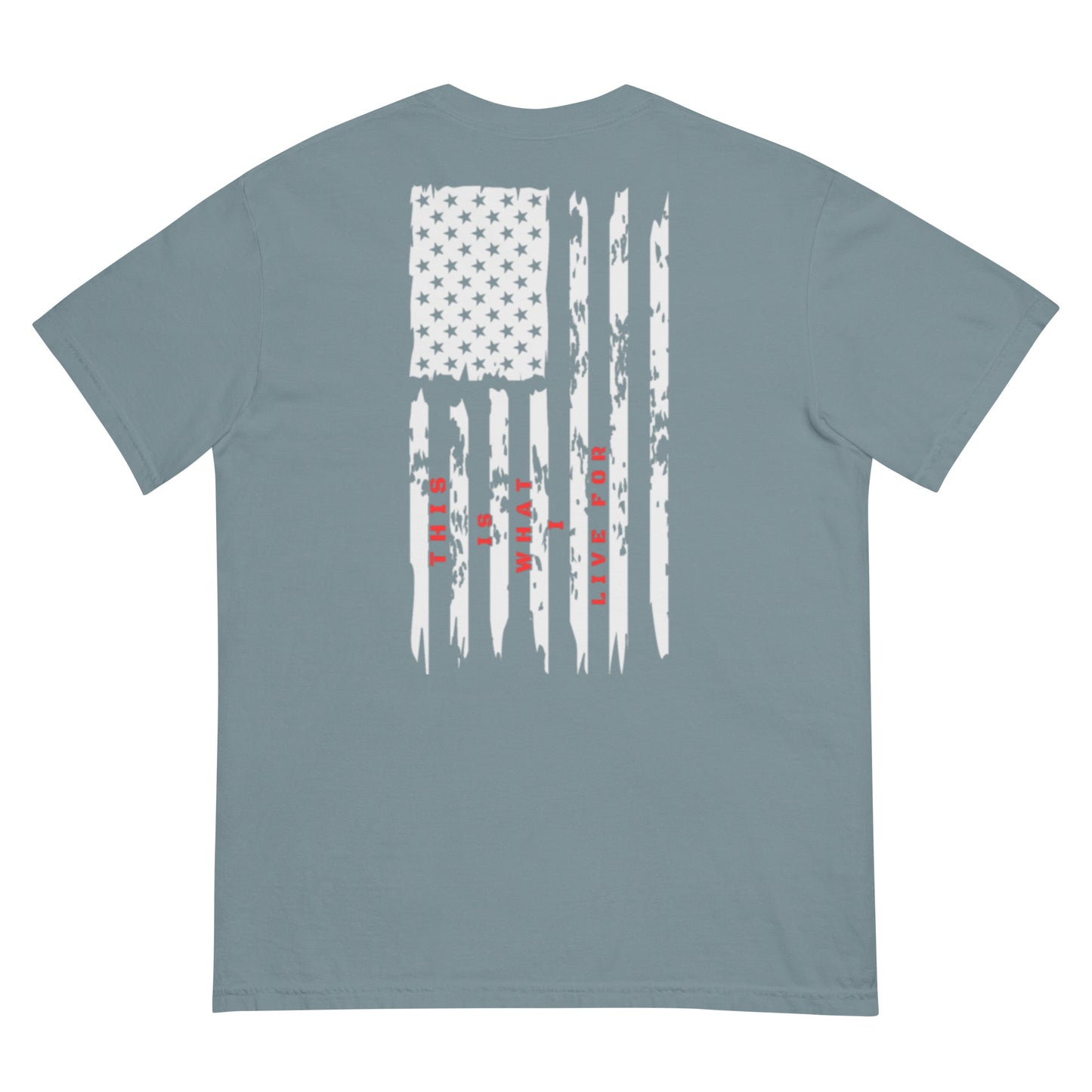 This is What I Live For heavyweight t-shirt