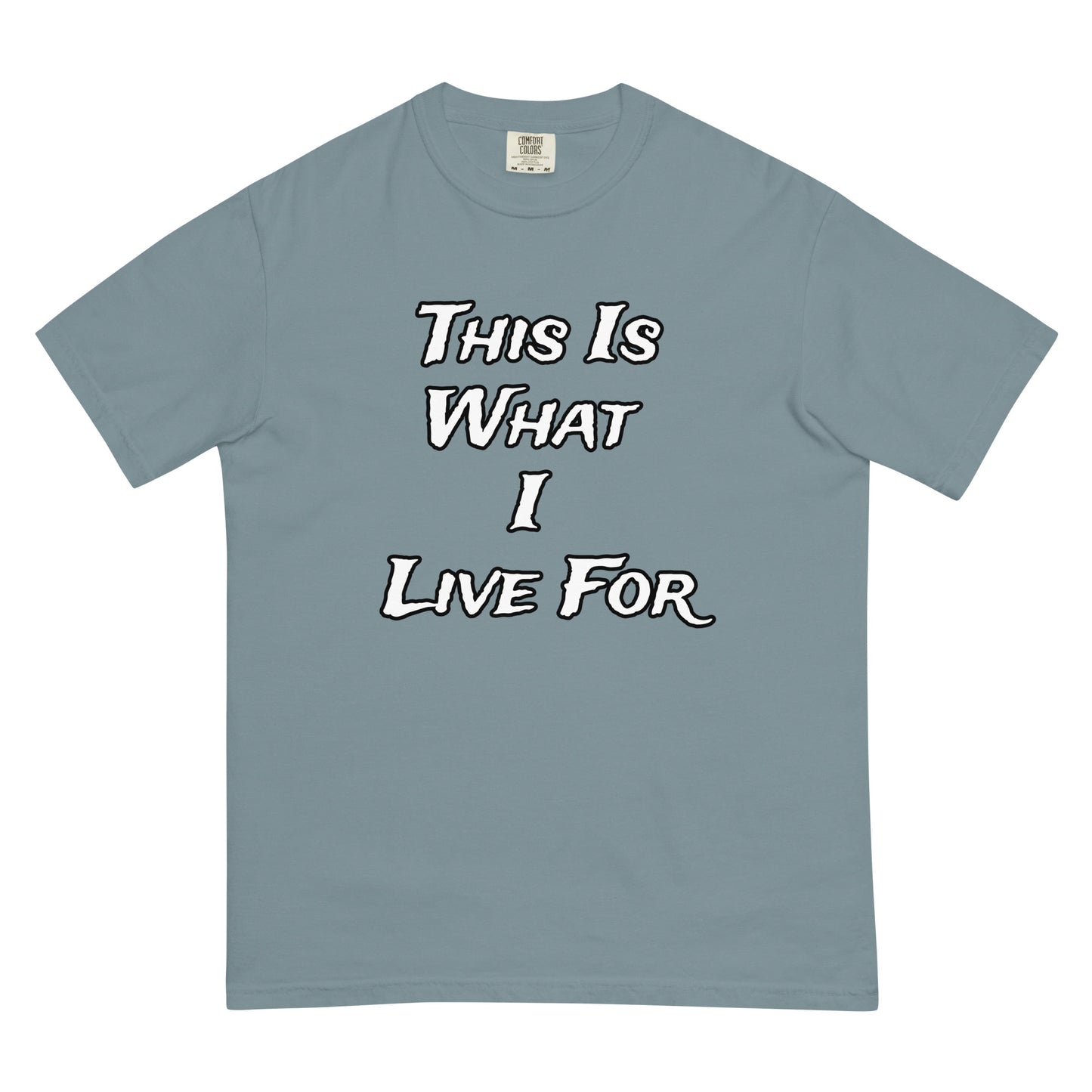 This is What I Live For heavyweight t-shirt