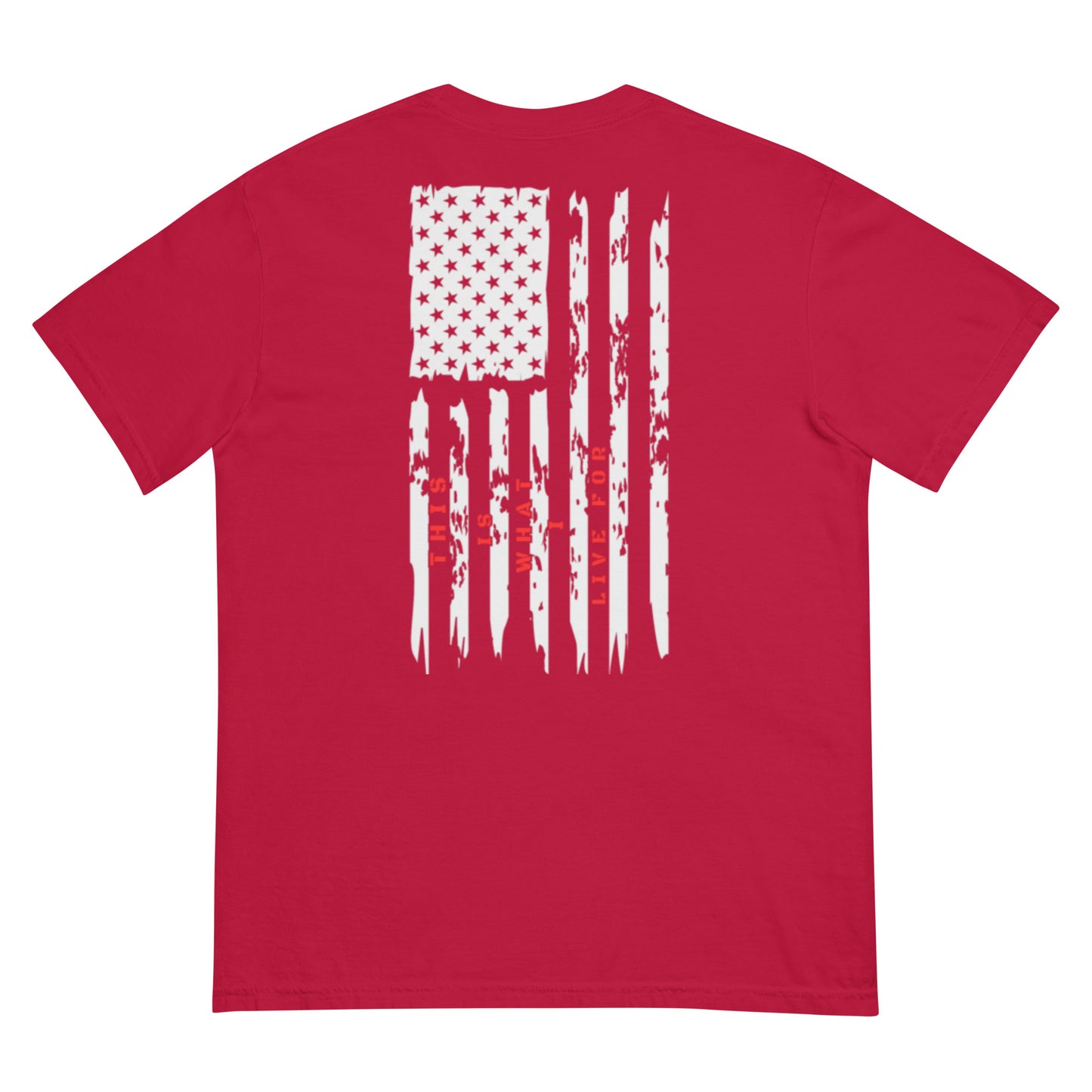 This is What I Live For heavyweight t-shirt