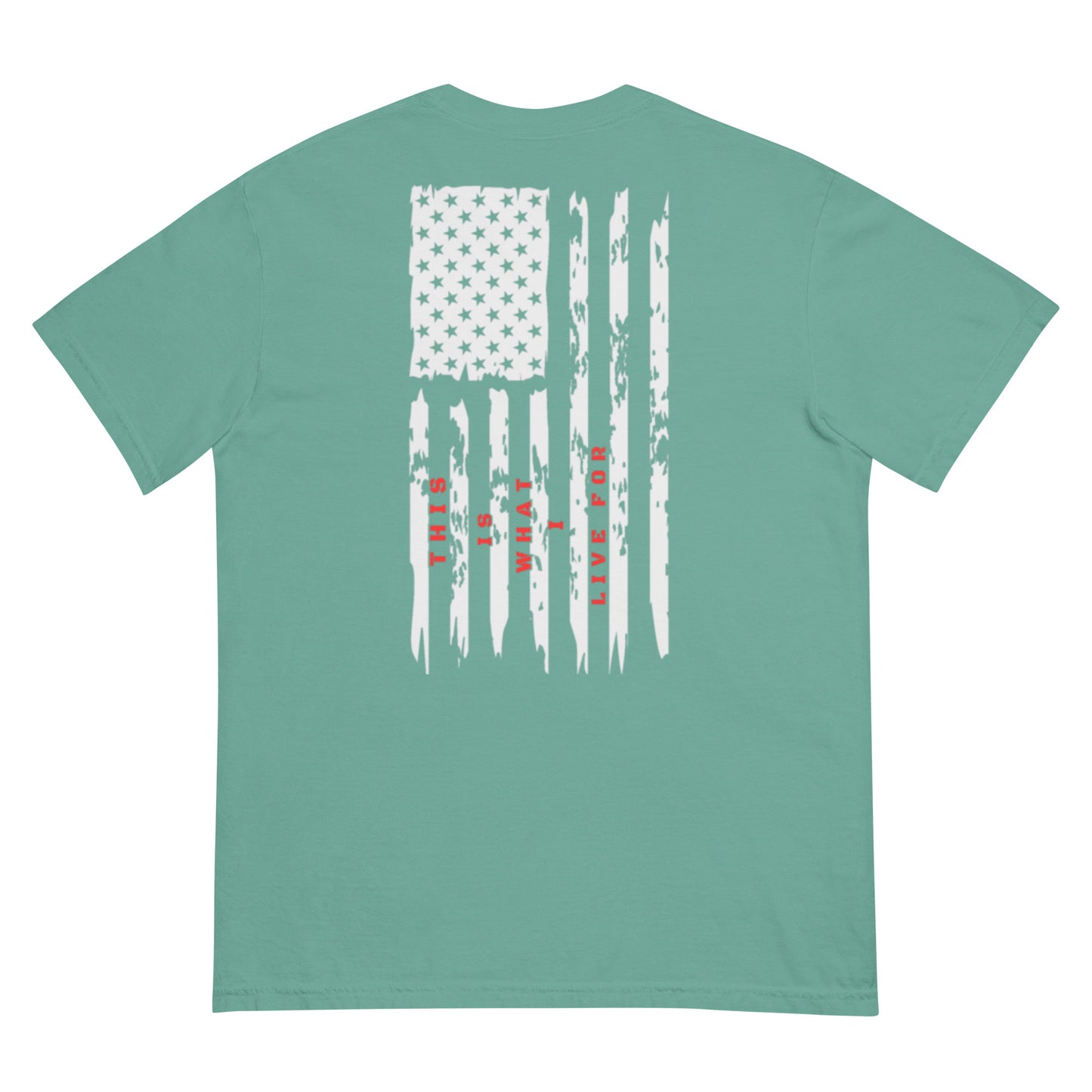 This is What I Live For heavyweight t-shirt