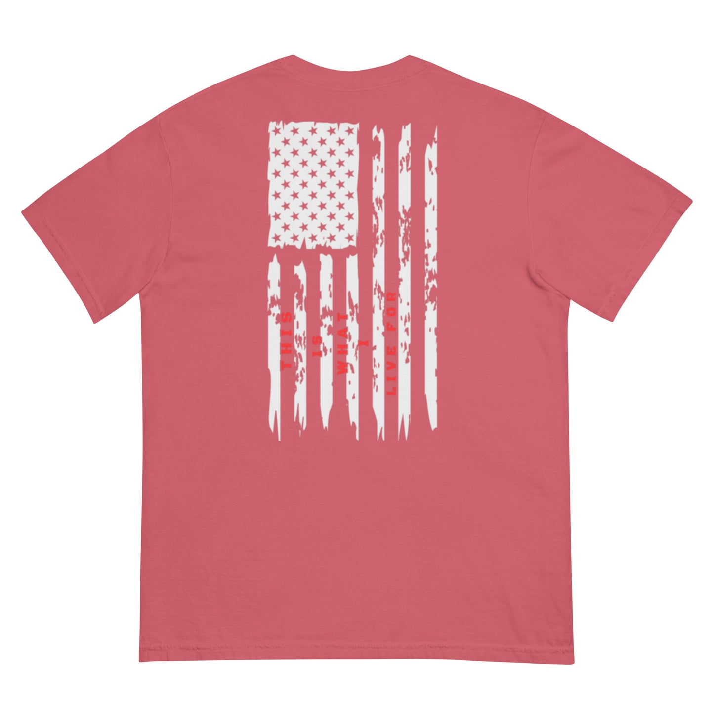 This is What I Live For heavyweight t-shirt